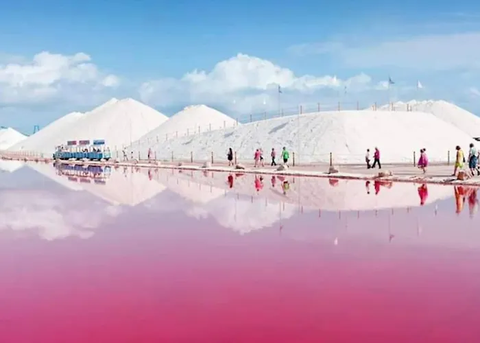 Sunny House With Communal Pool And Garden Prázdninový dům Torrevieja