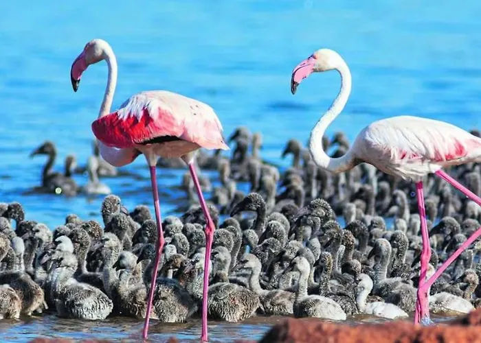 Sunny House With Communal Pool And Garden Prázdninový dům *